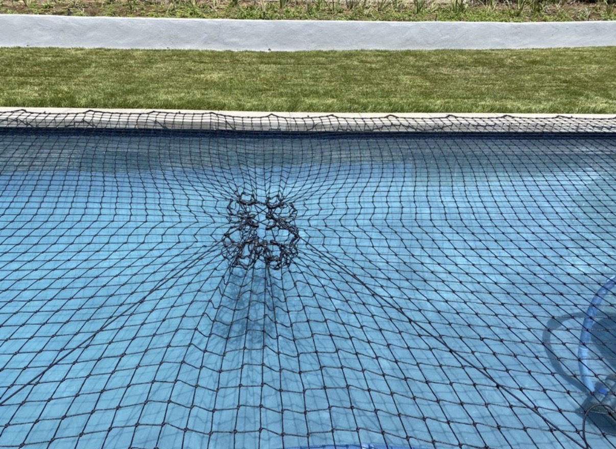 Close-up of pool safety net