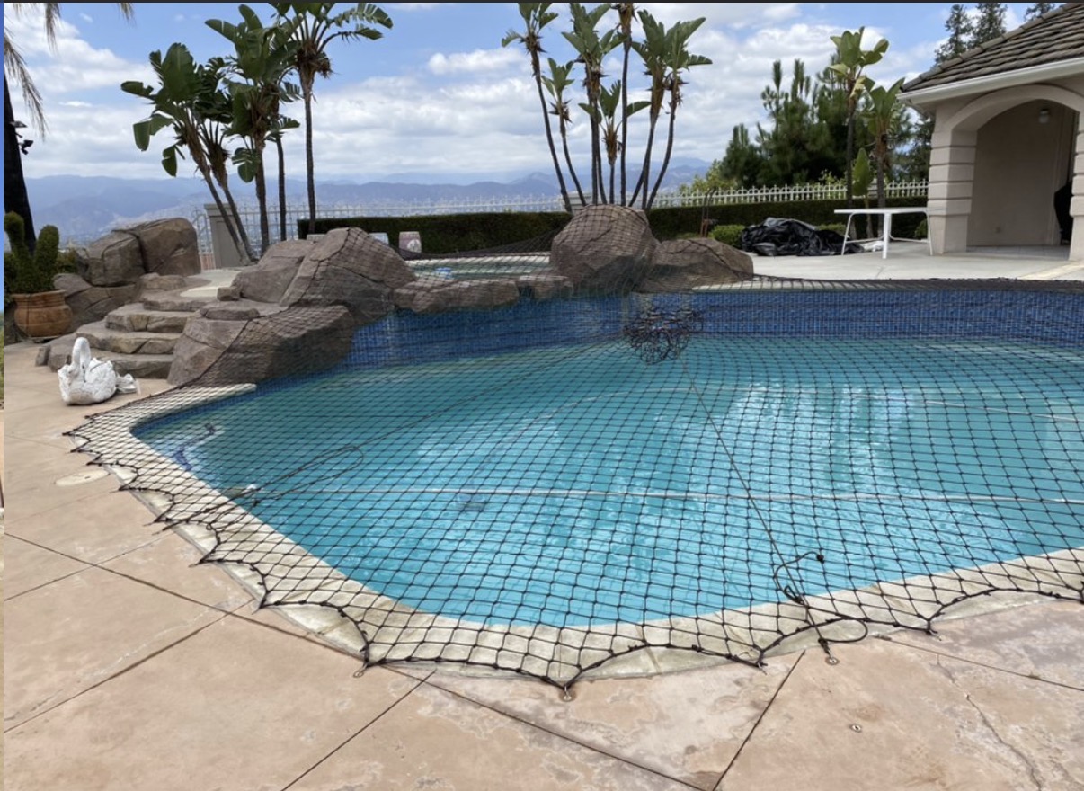 Hillside pool with safety net and palms