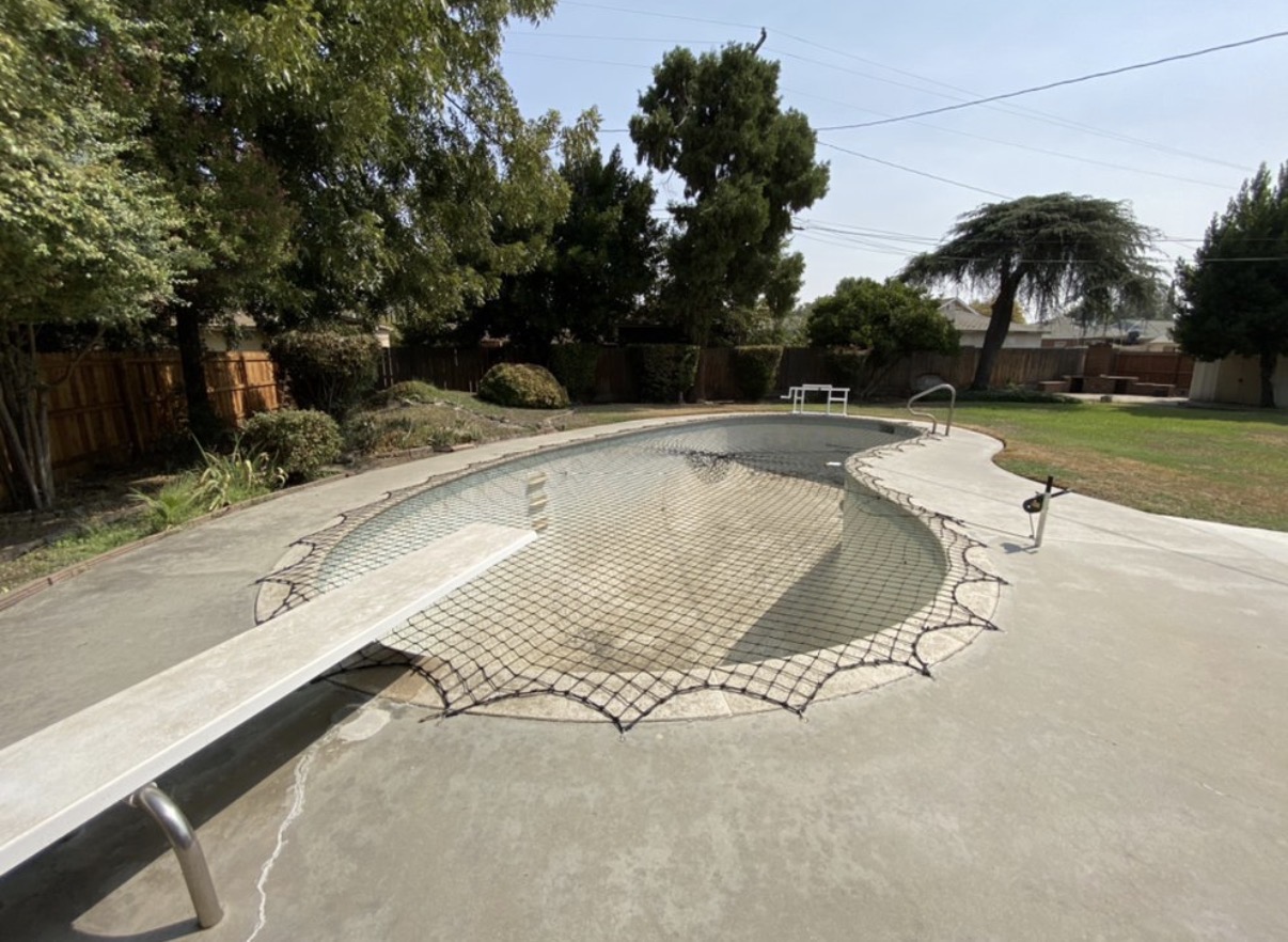 Kidney pool with safety net and diving board