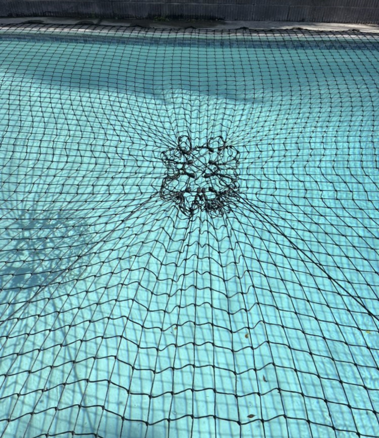 Close-up of black pool safety net over water